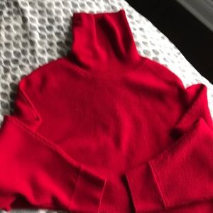 Red Crop Sweater - Wilfred Free